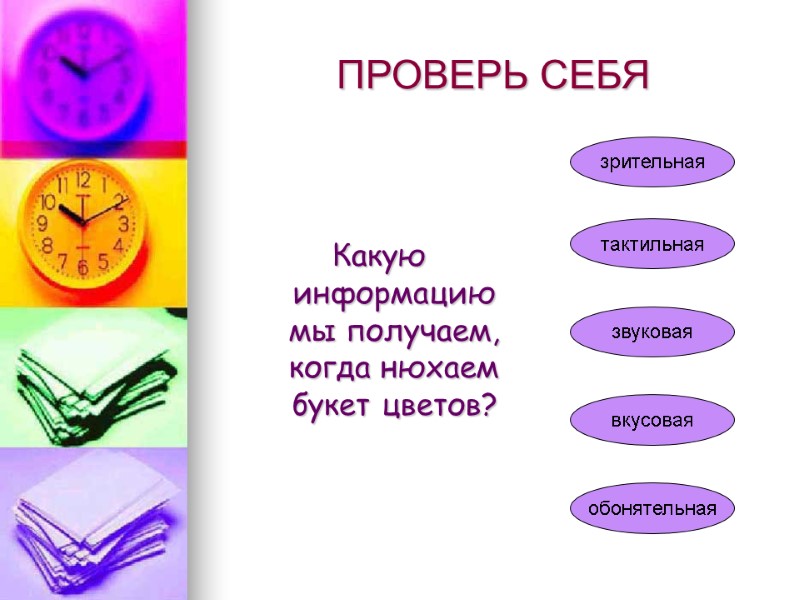 ПРОВЕРЬ СЕБЯ     Какую информацию мы получаем, когда нюхаем букет цветов?